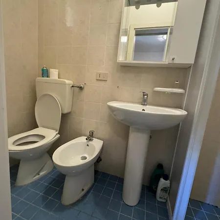 Delfino ביביונה