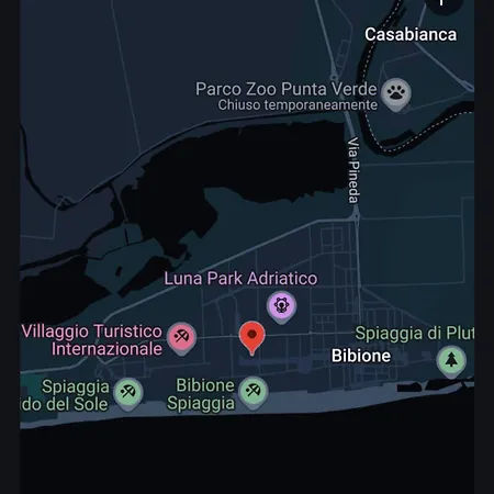 Delfino * ביביונה