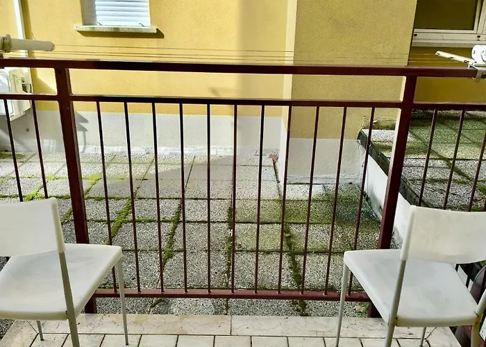 Delfino 비비오네